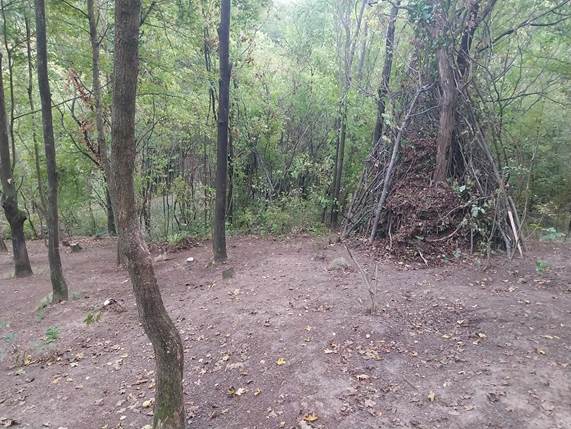 A k�pen k�lt�ri, erd�s�g, n�v�ny, Term�szeti k�rnyezet l�that�

El�fordulhat, hogy az AI �ltal l�trehozott tartalom helytelen.